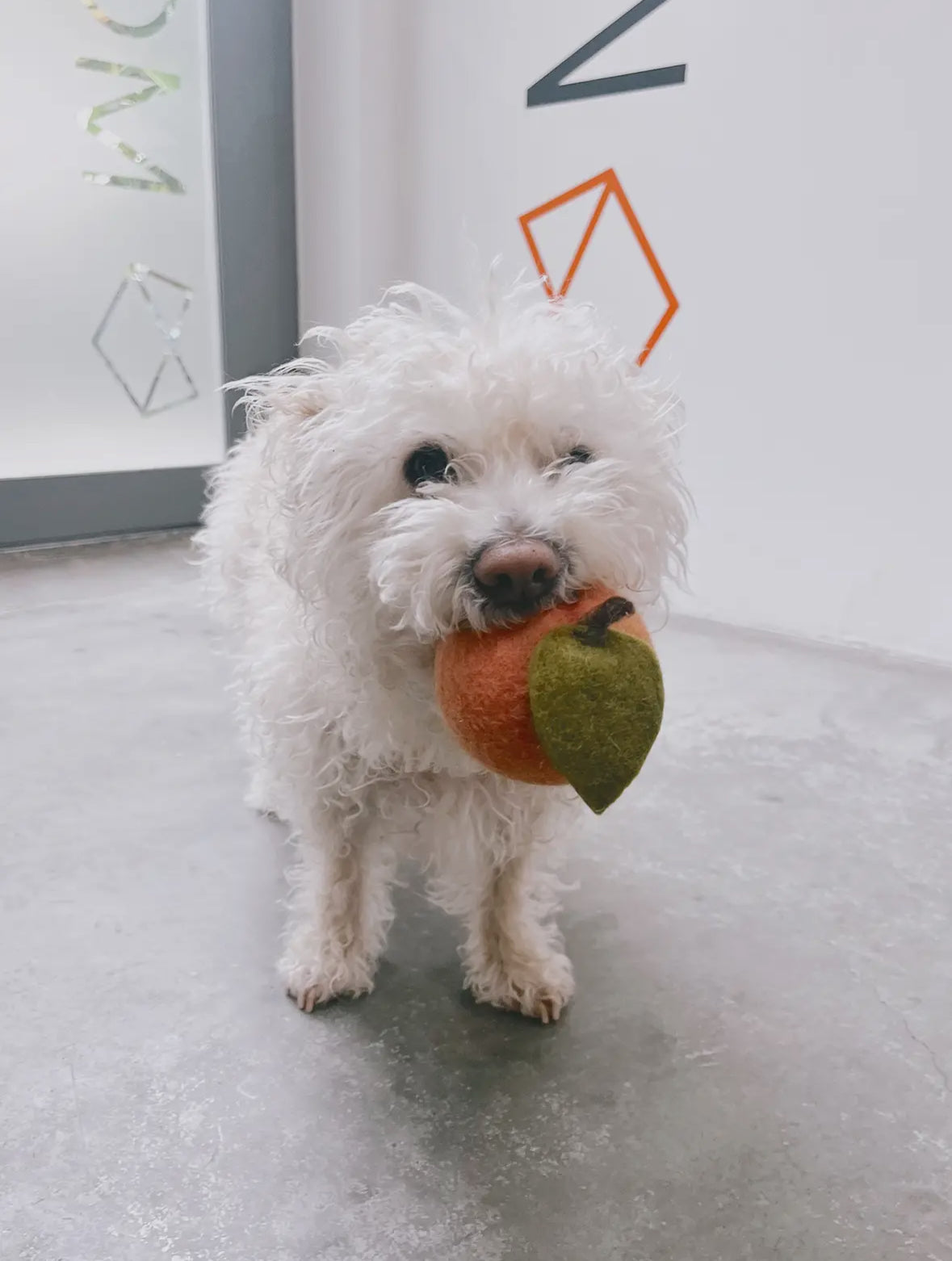FELT DOGGY PEACH