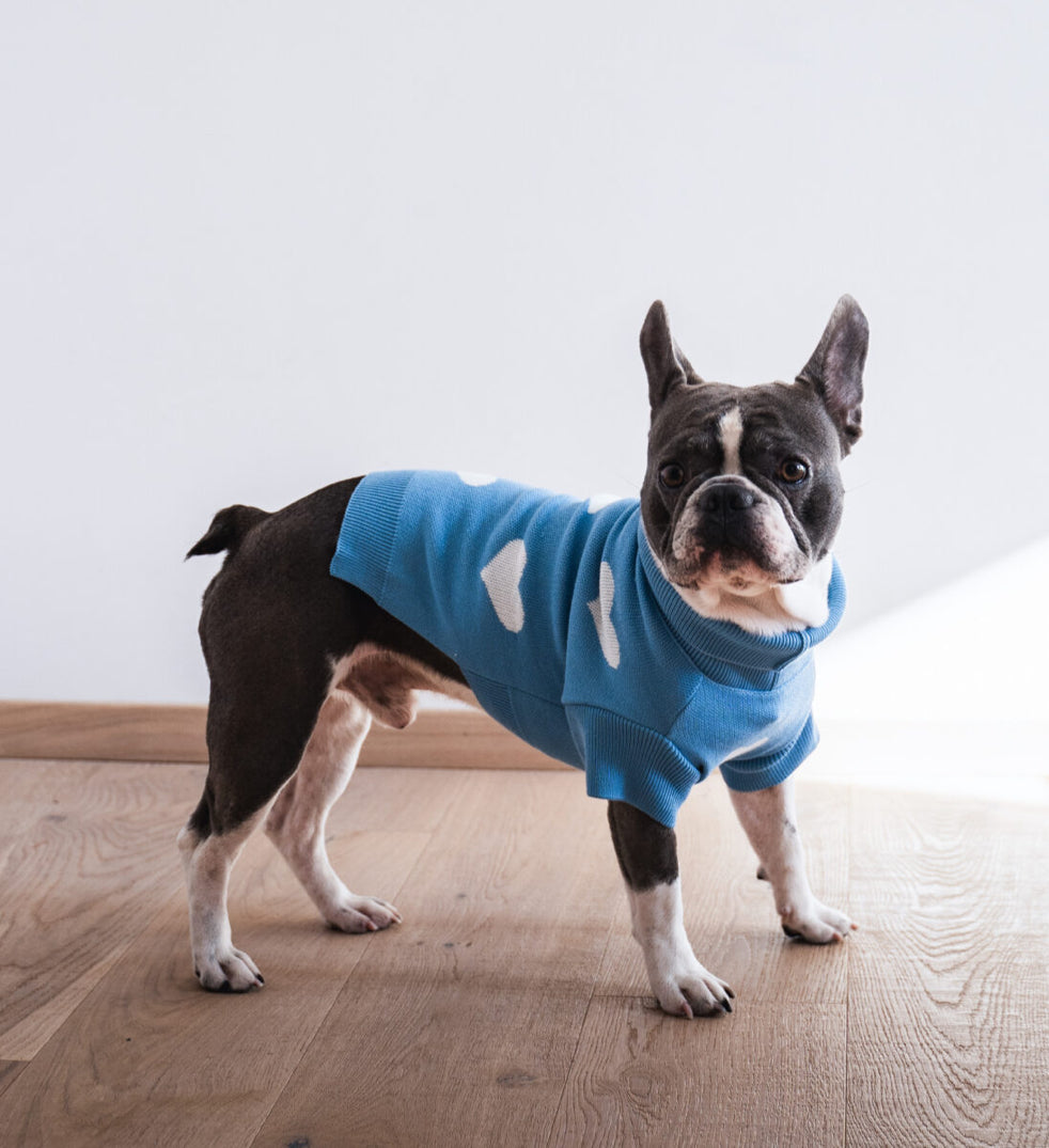 SWEATER - BLUE SKY