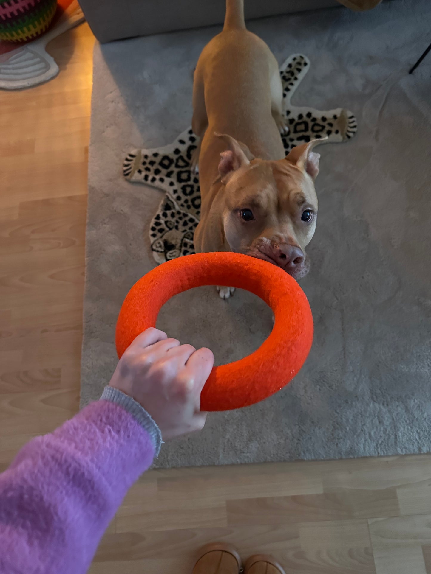 FELT TOY RING - FIERY RED