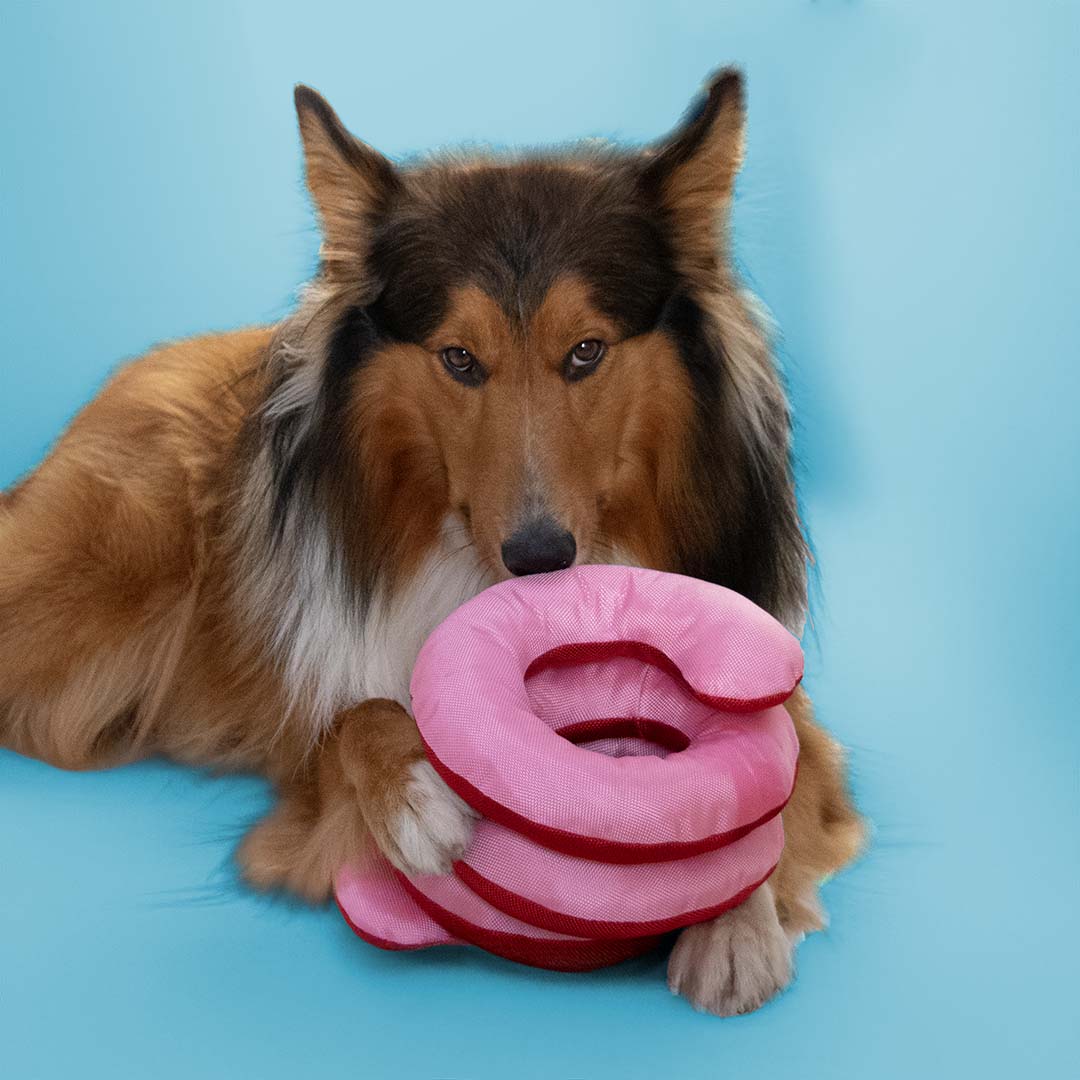 TOY - SNUGGLE SNAKE (kopie)