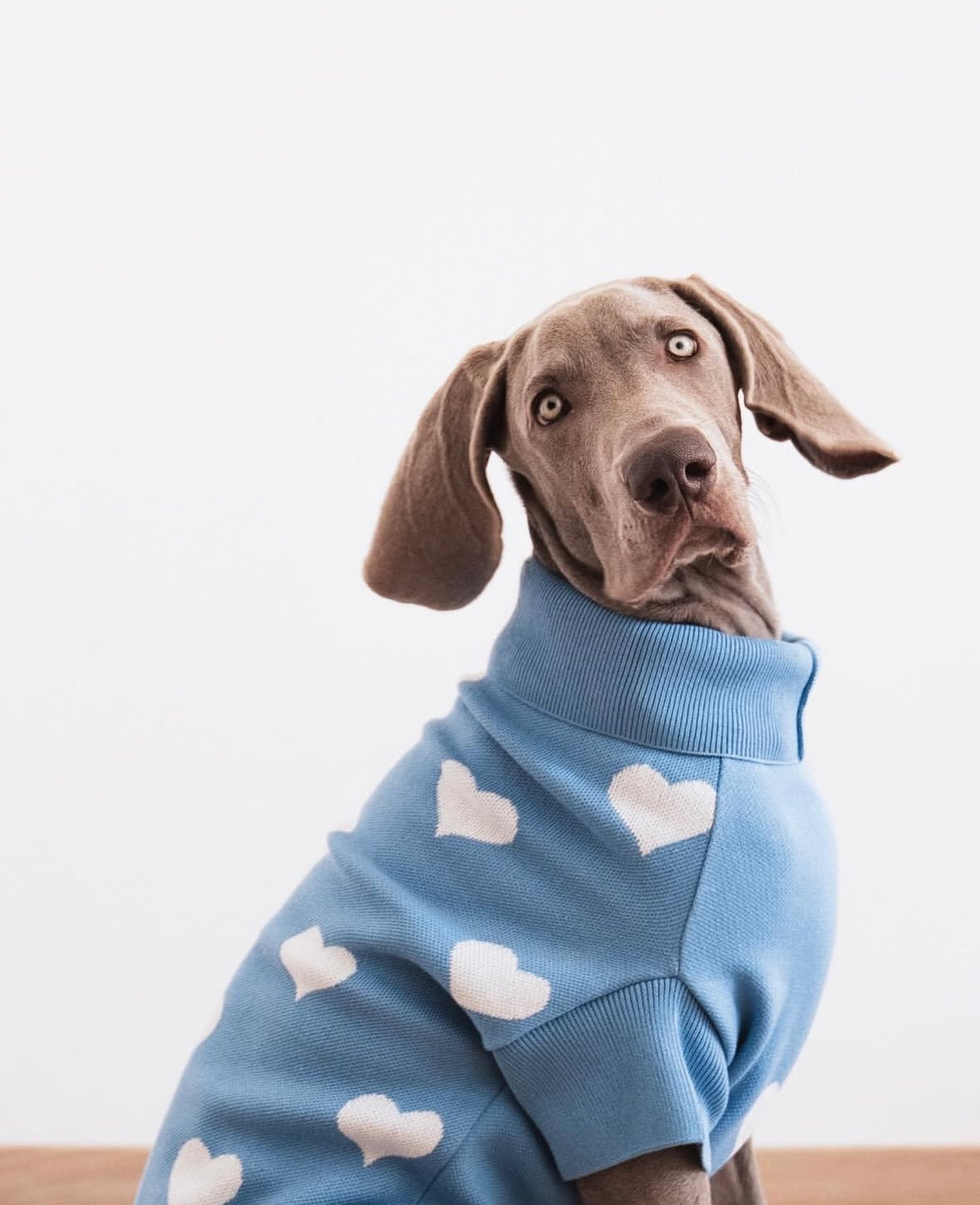 SWEATER - BLUE SKY