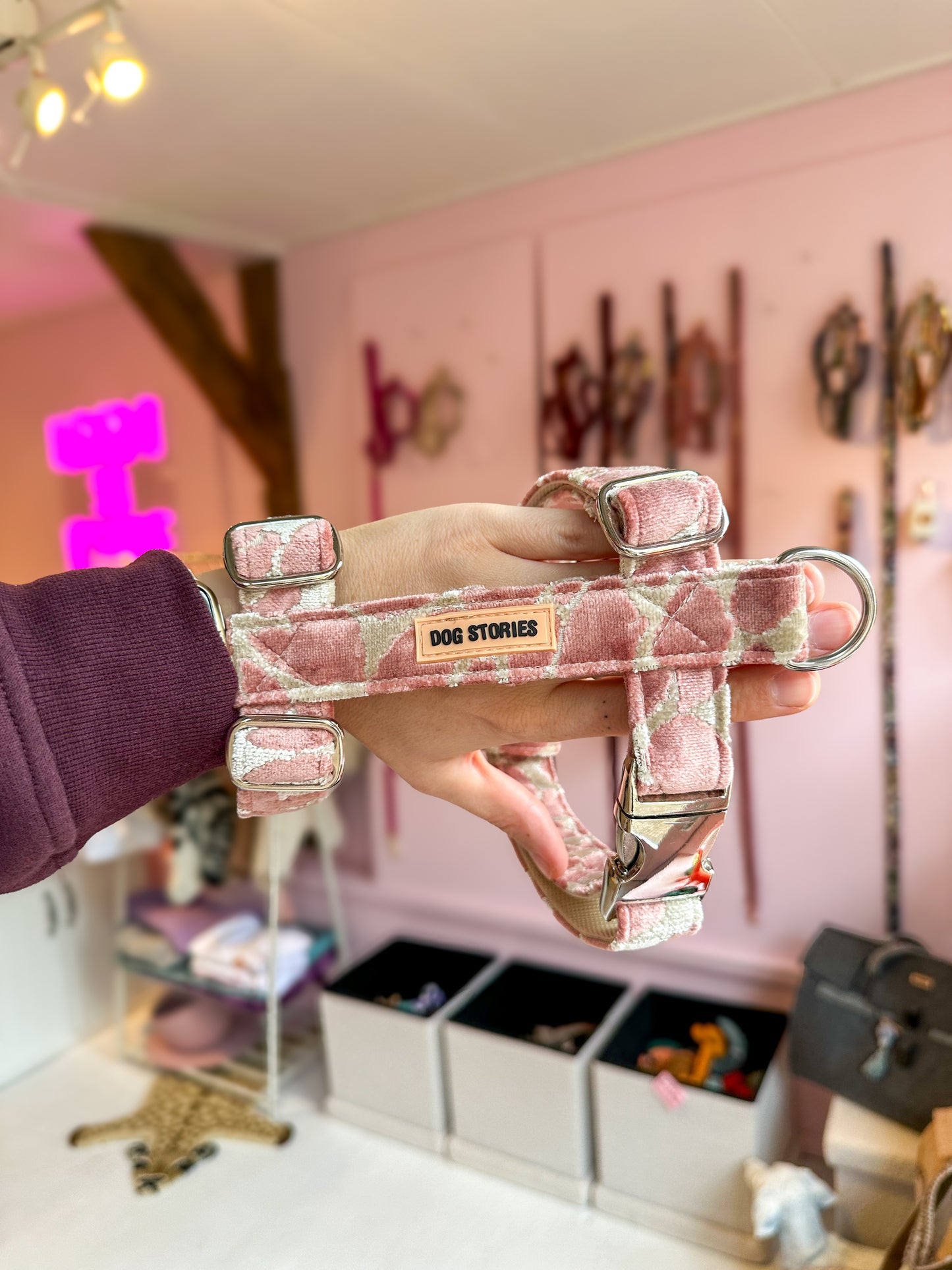 LEO OLD PINK HARNESS - Limited Edition