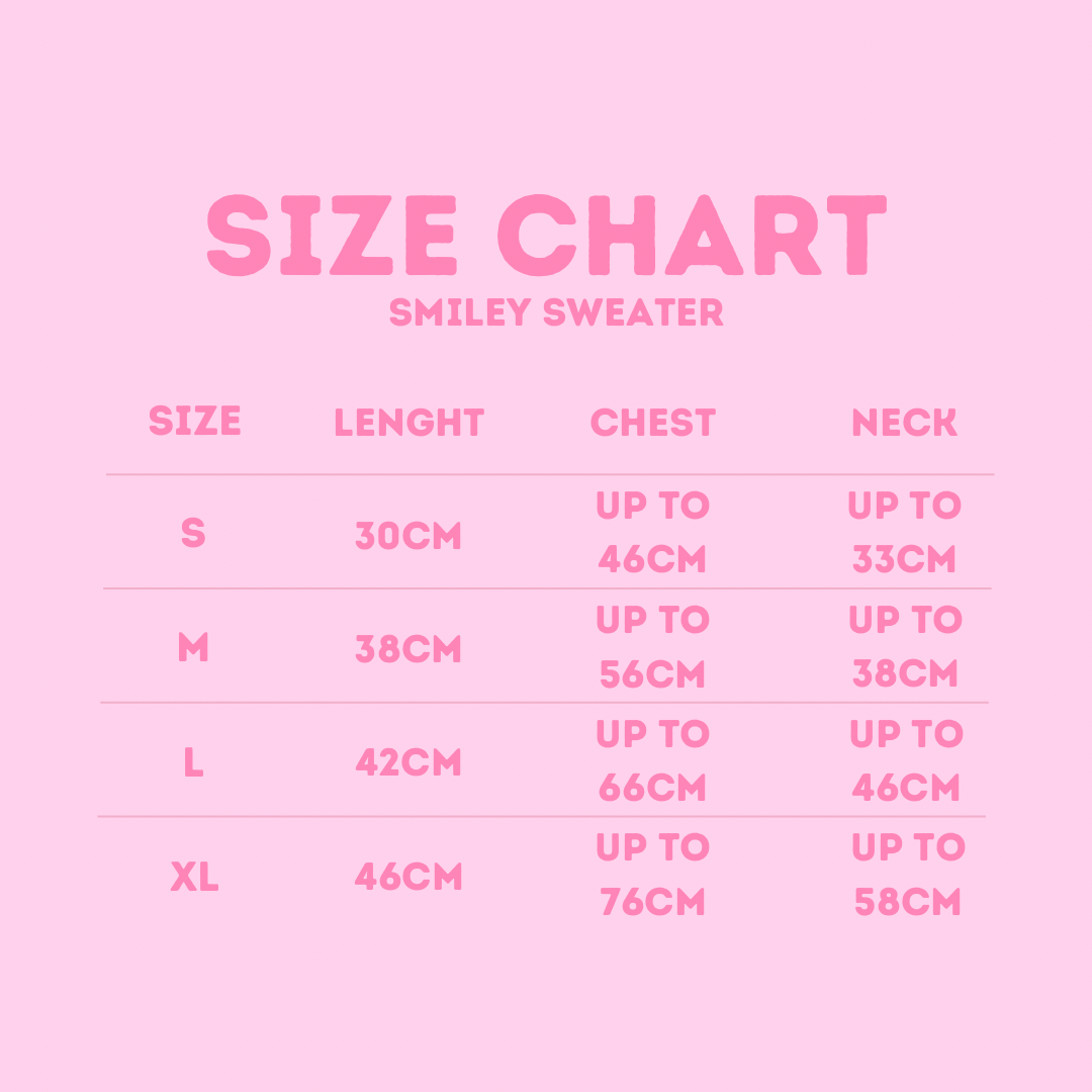 SWEATER - MADE YOU SMILE