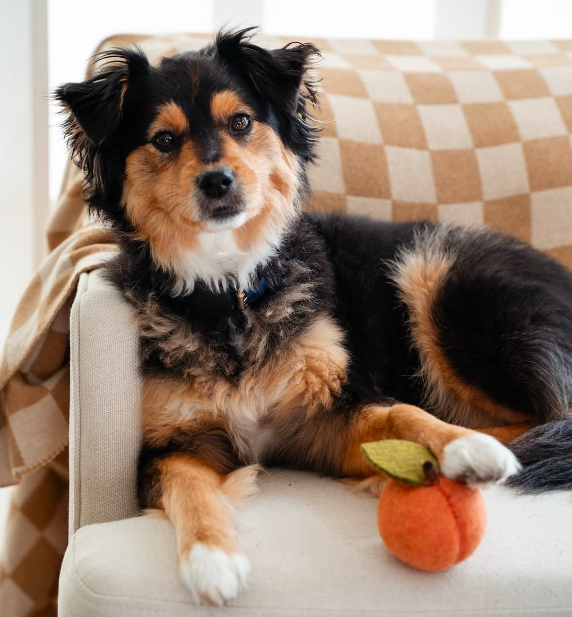 FELT DOGGY PEACH