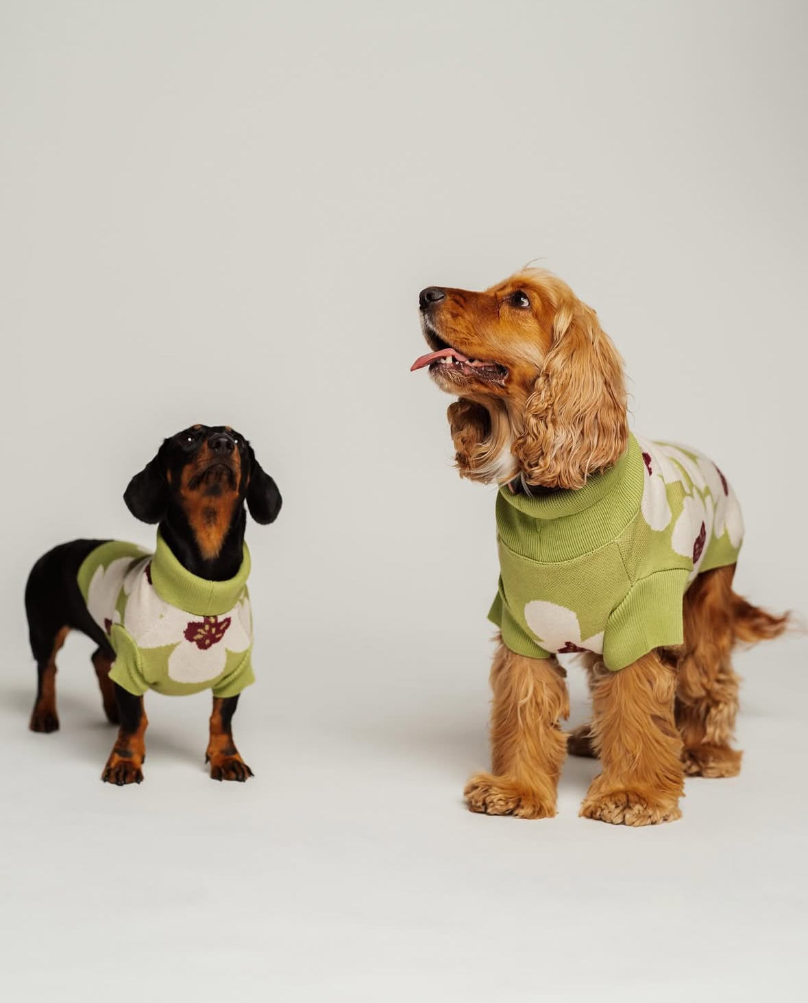 SWEATER - GREEN FLOWER