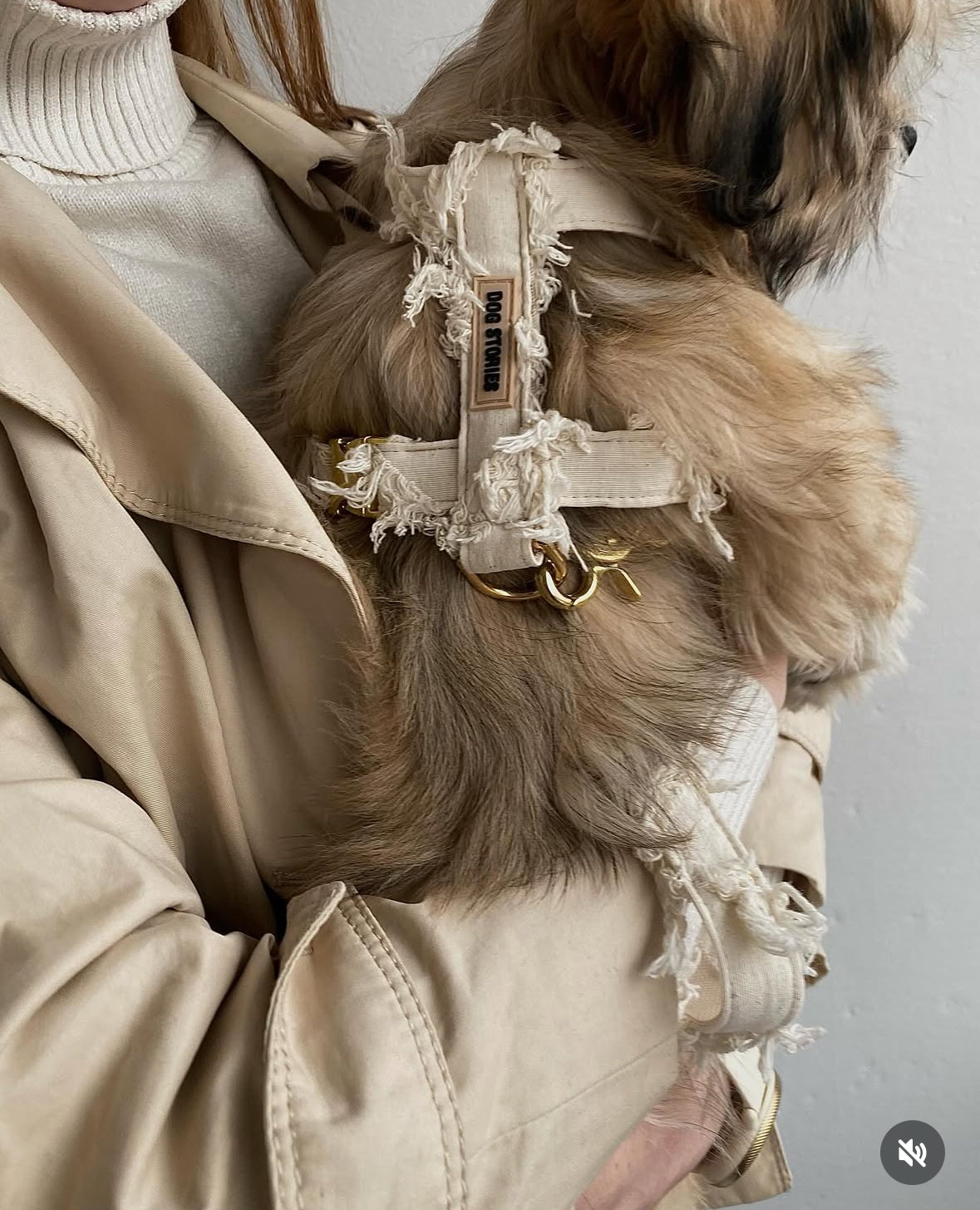 COCO RUFFLE HARNESS