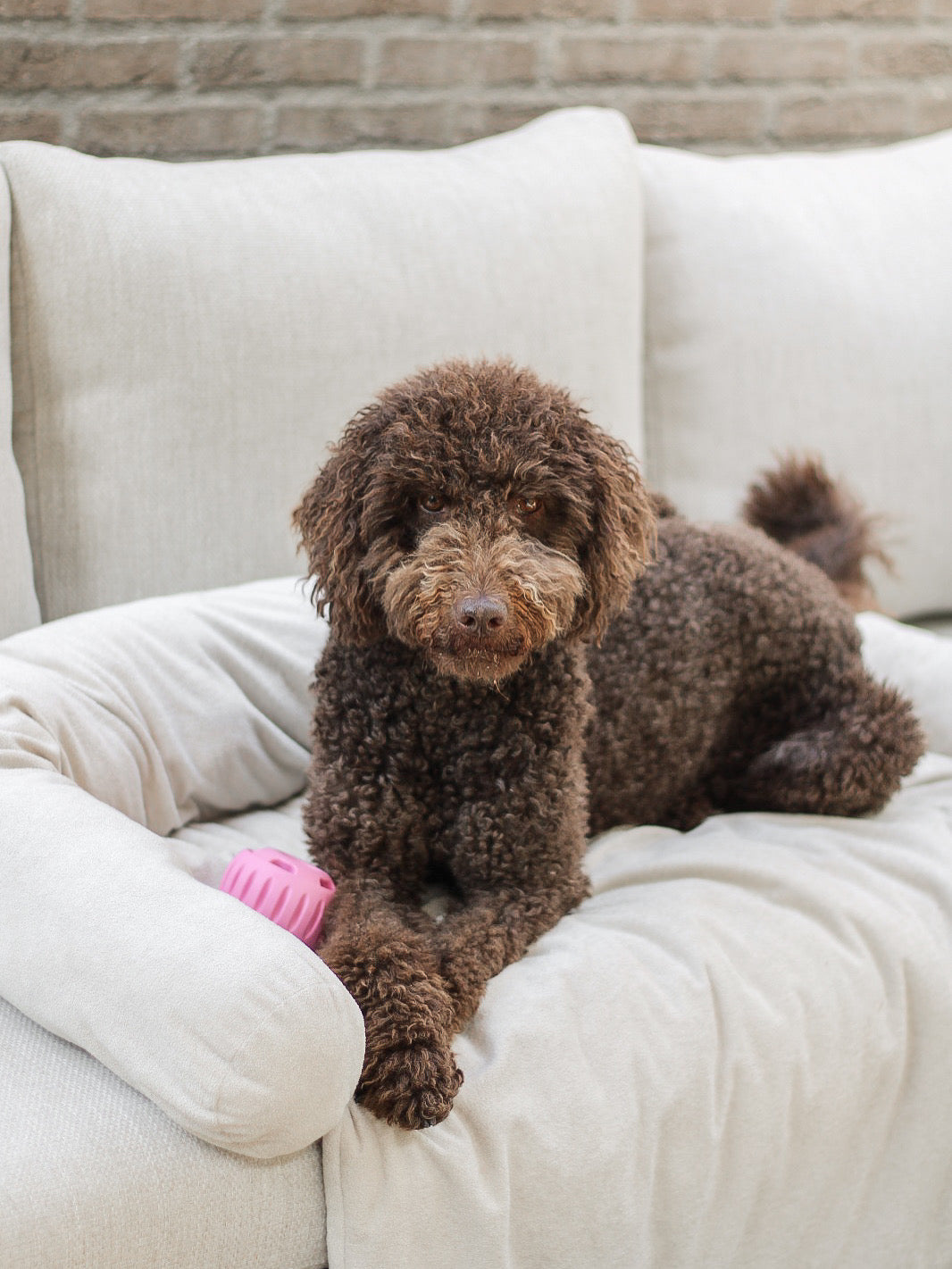 COUCH PILLOW - CREAM