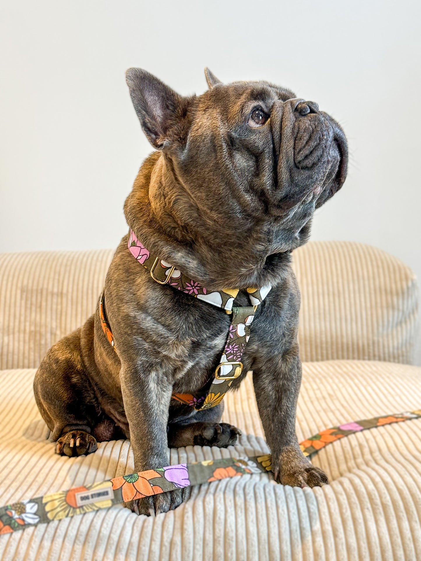 BLOOMS HARNESS