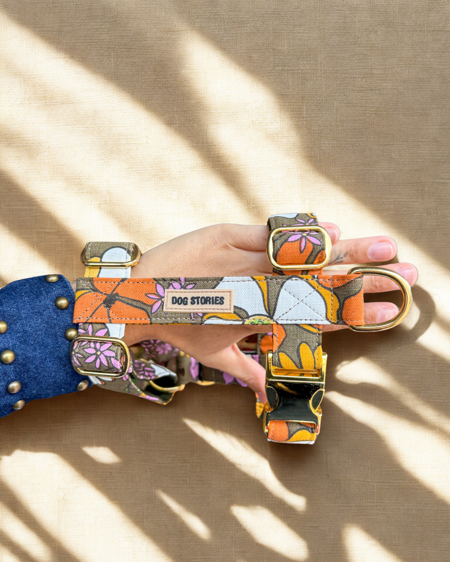 BLOOMS HARNESS