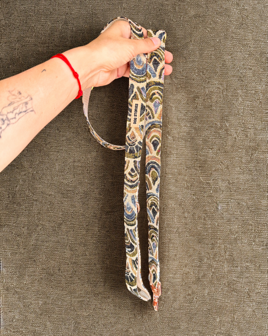 SCALES HARNESS