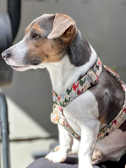 HOUNDSTOOTH HARNESS