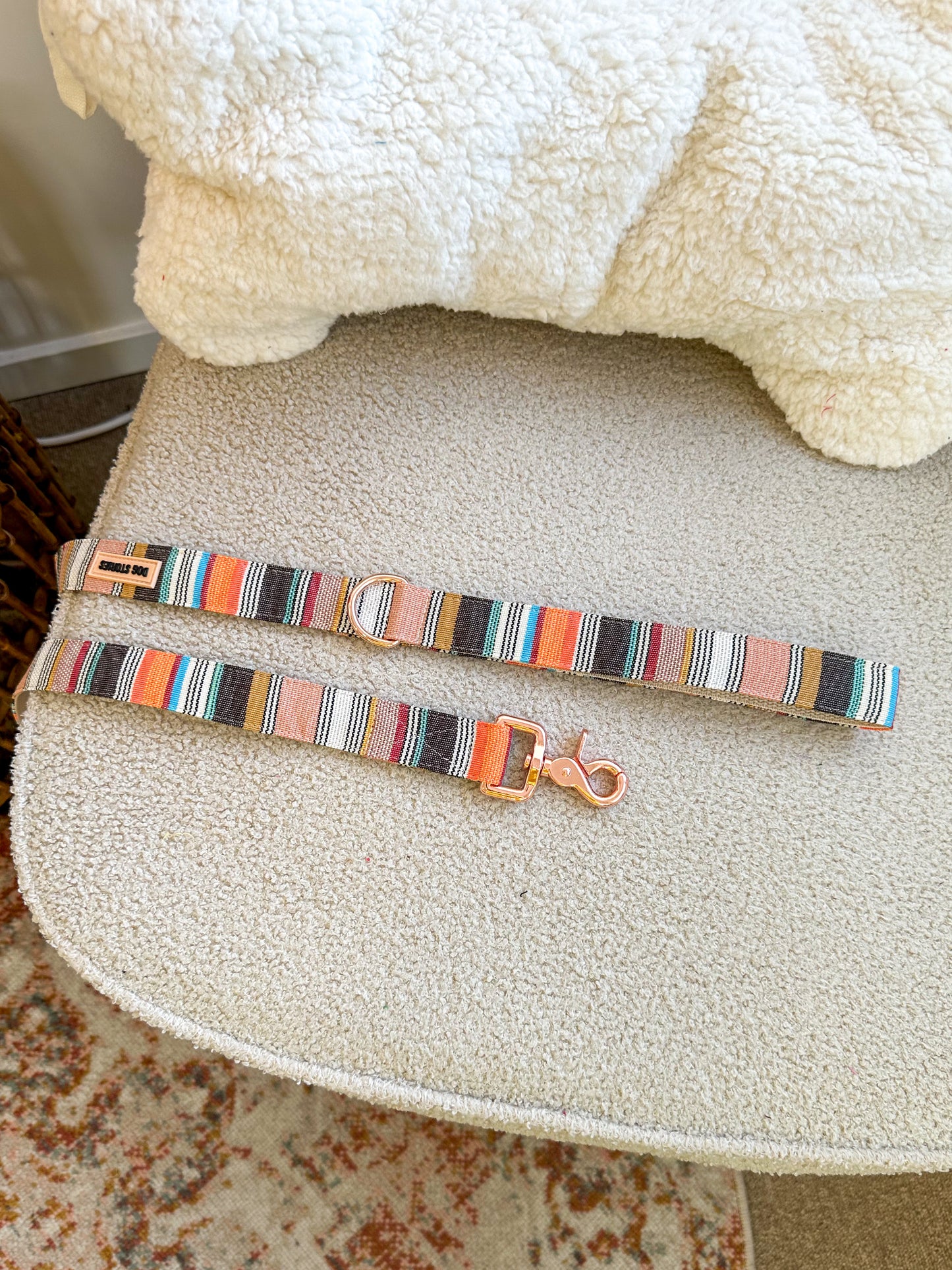 BRIGHT STRIPES LEASH