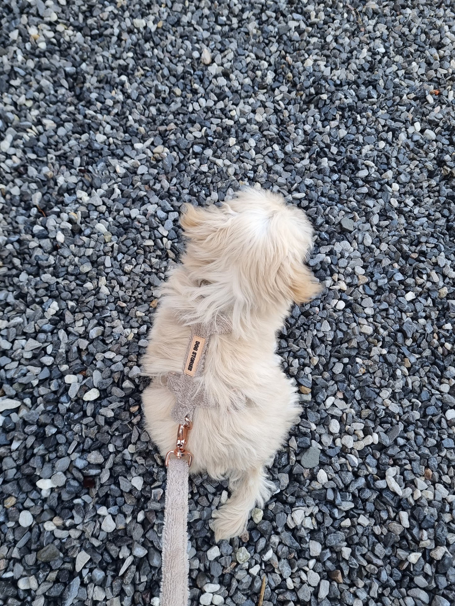 ABISKO DARK SAND HARNESS