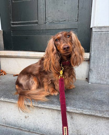 ABISKO BORDEAUX COLLAR