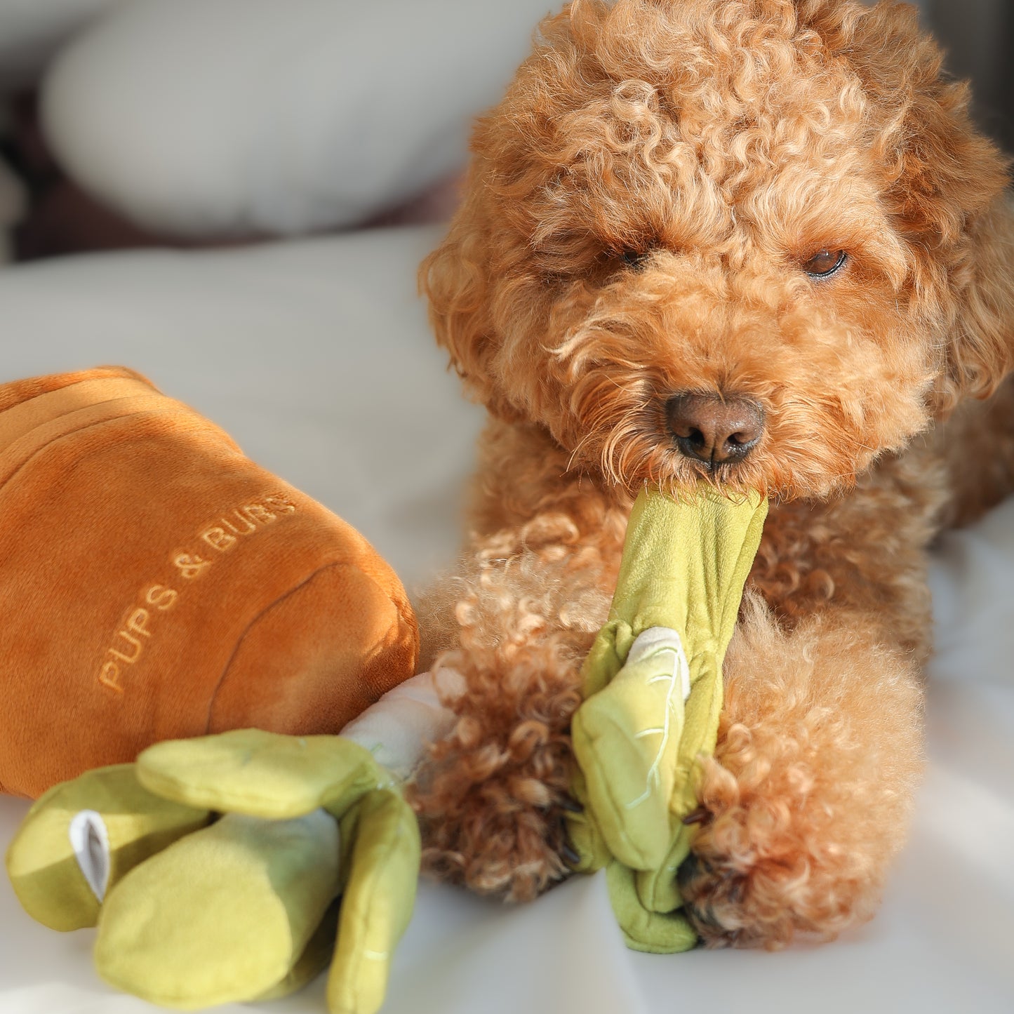 VEGGIE GARDEN NOSEWORK TOY