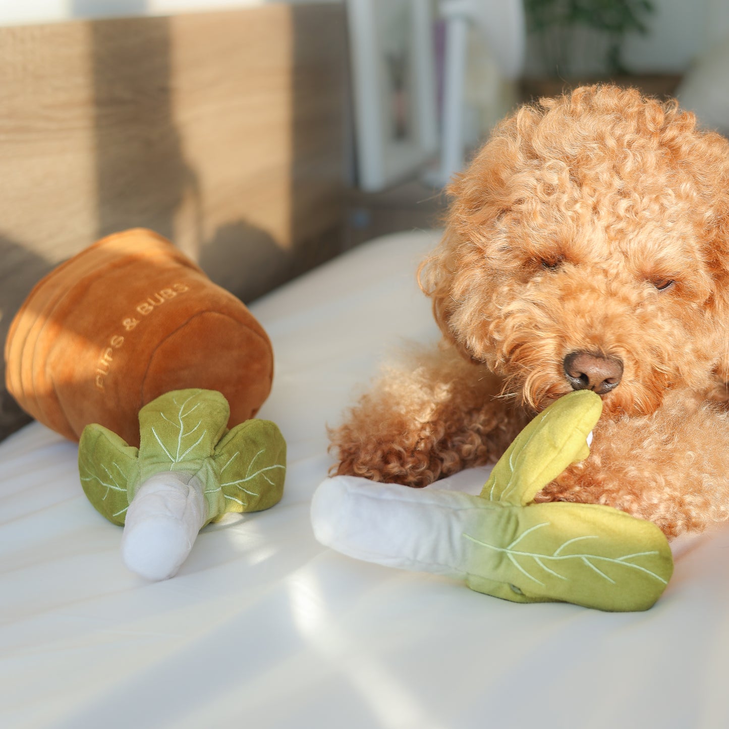 VEGGIE GARDEN NOSEWORK TOY