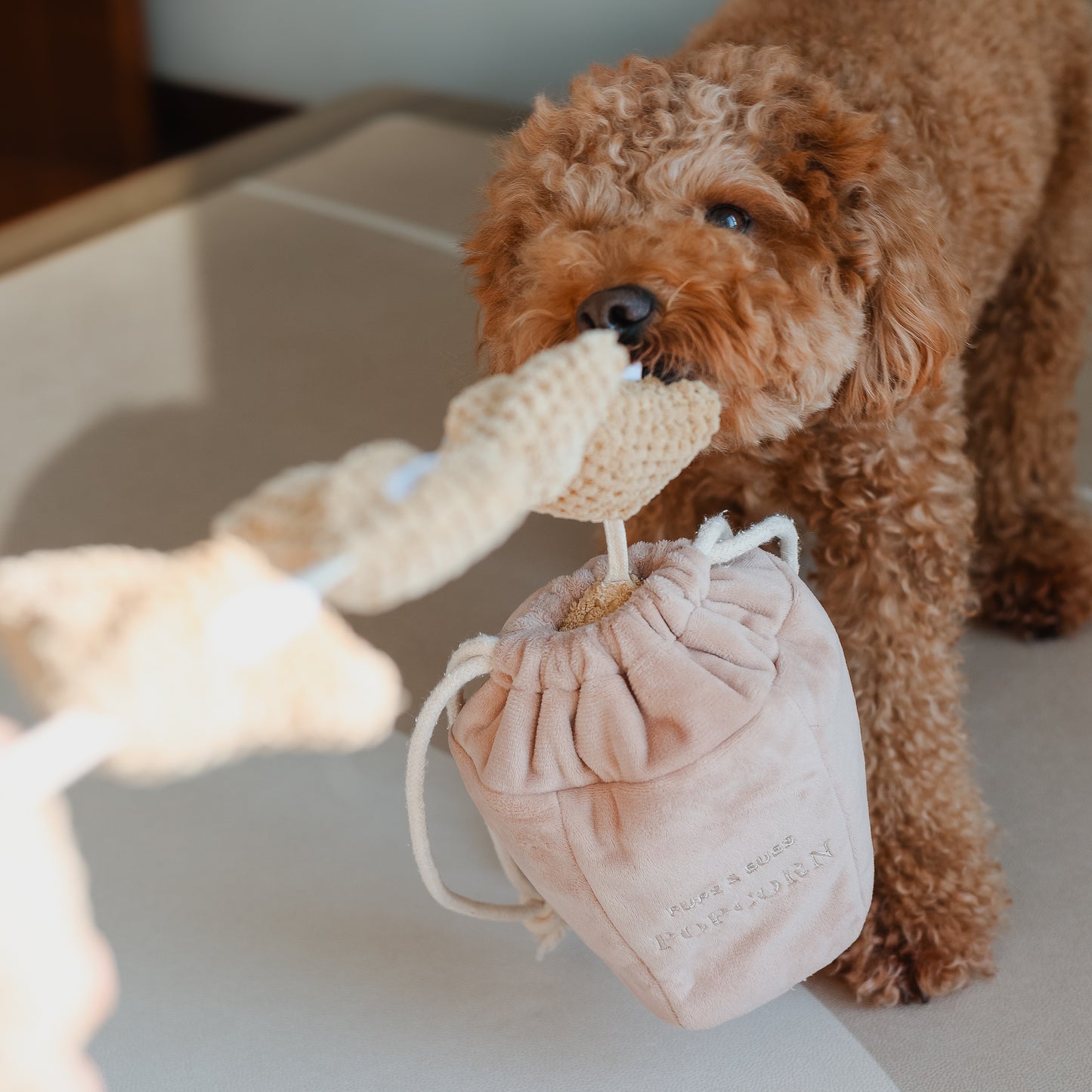 POPCORN NOSEWORK TOY