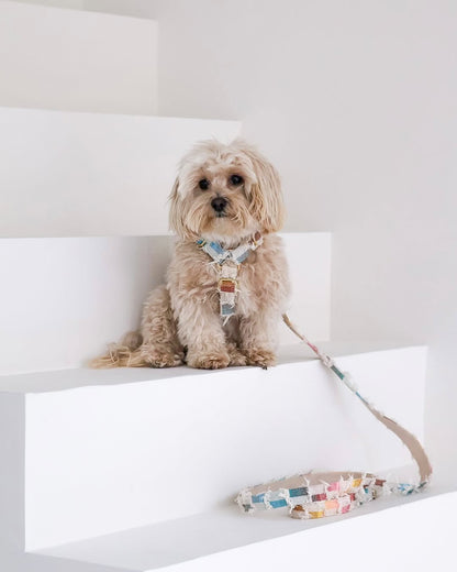 SUNSET RUFFLE HARNESS