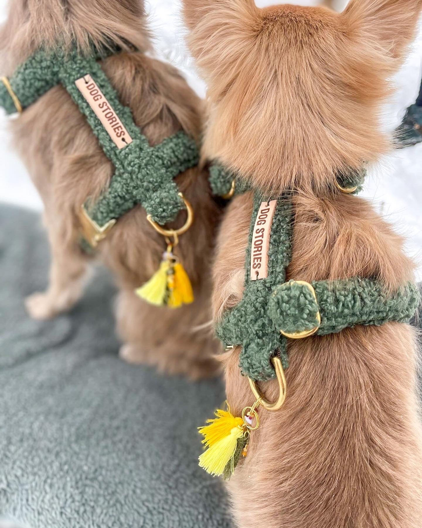 FOREST TEDDY HARNESS