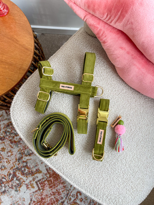 OLIVE HARNESS