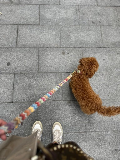 MURANO LEASH