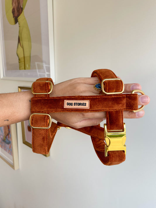 ROOIBOS HARNESS