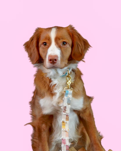 SUNSET RUFFLE COLLAR