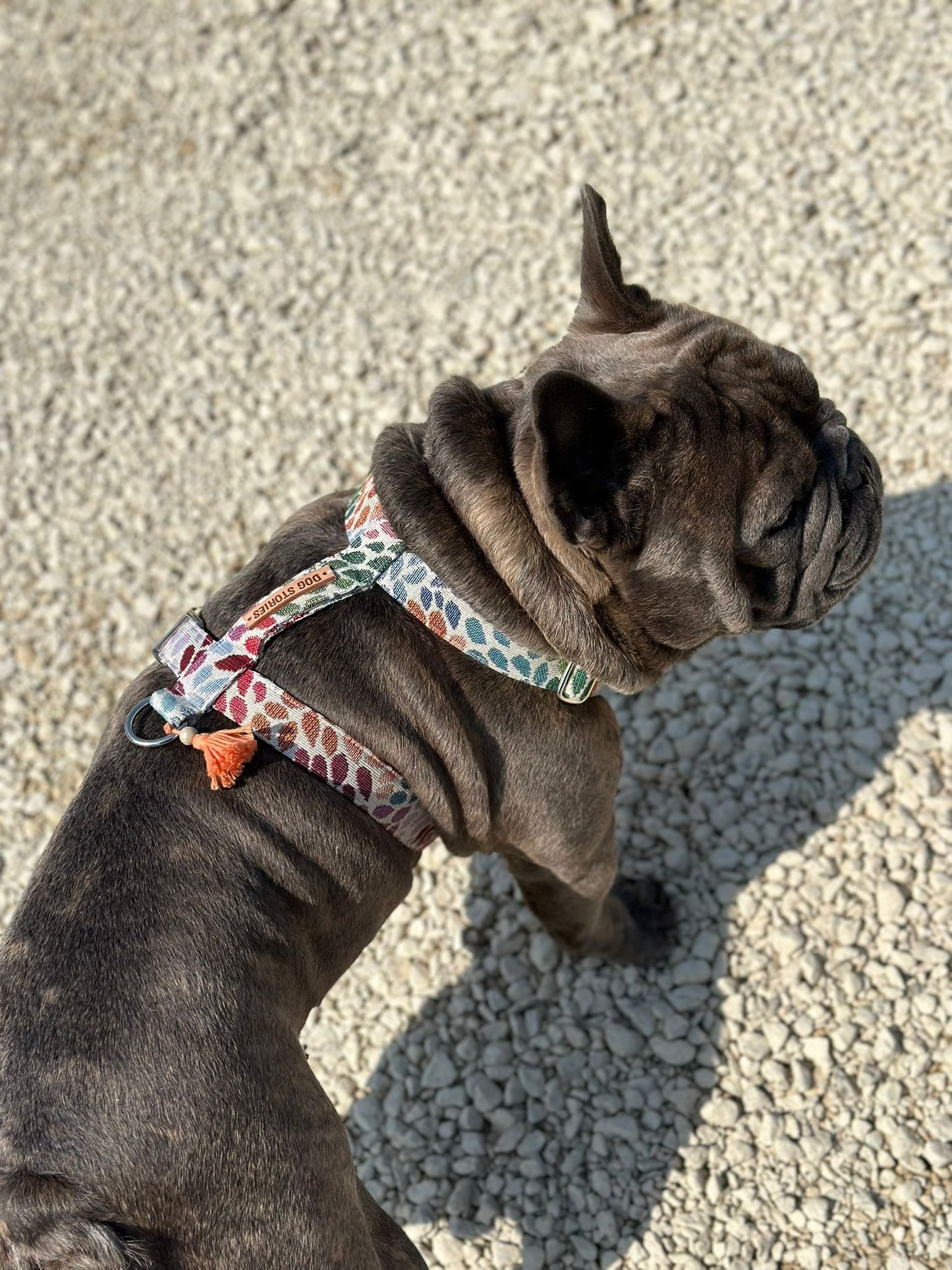 RETRO HARNESS