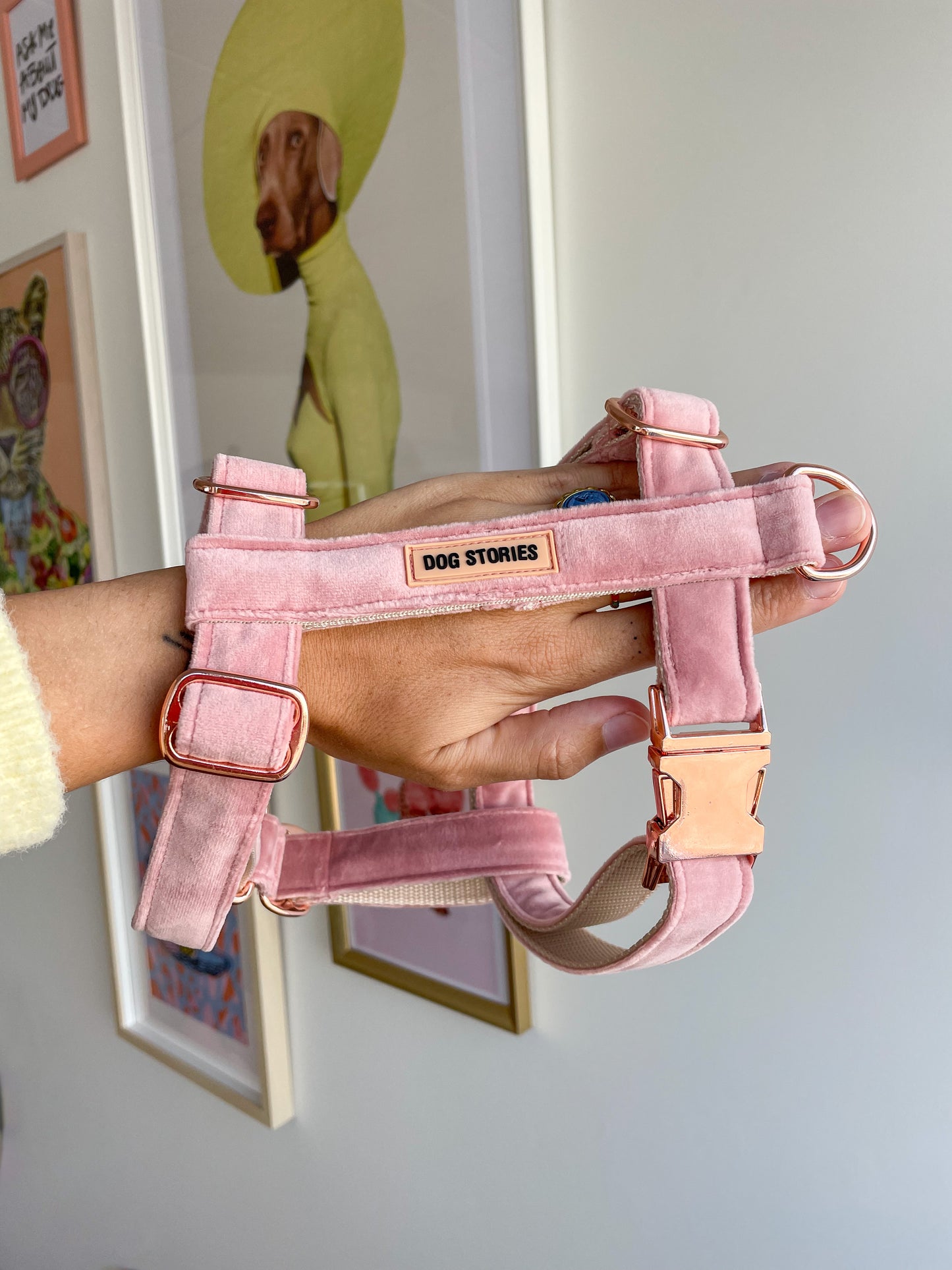 CANDY HARNESS