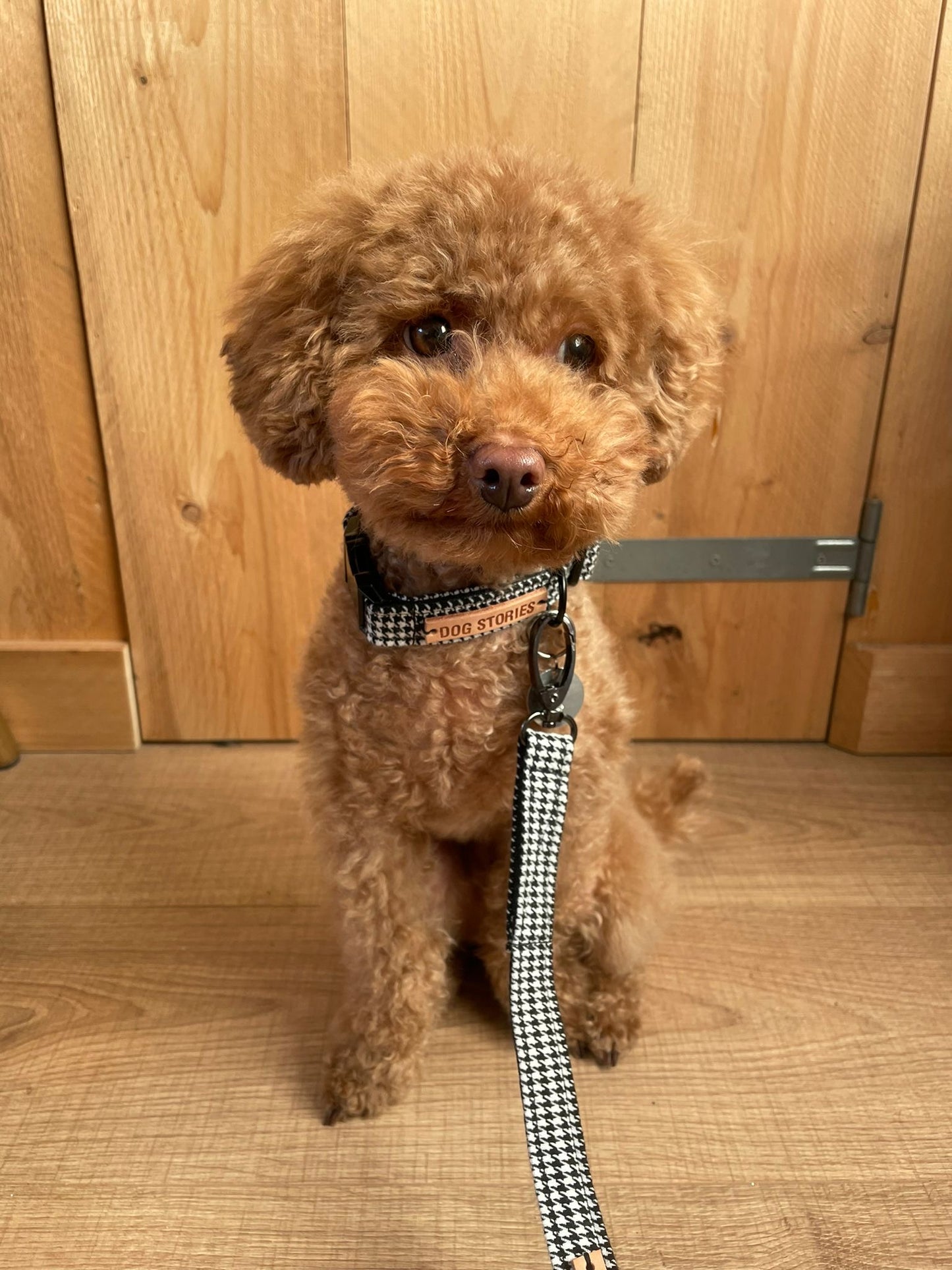 PIED-DE-POULE COLLAR