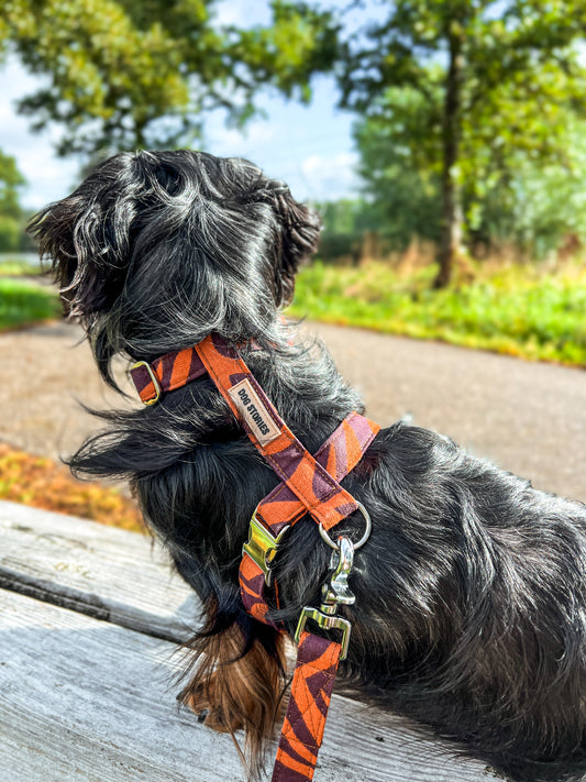 UNTAMED HARNESS