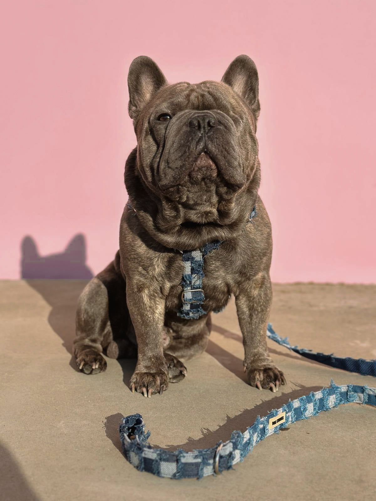ARCHIE RUFFLE HARNESS