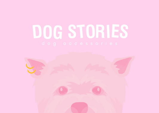 DOG STORIES GIFT CARD