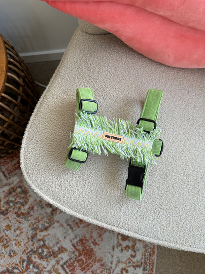 MATCHA HARNESS