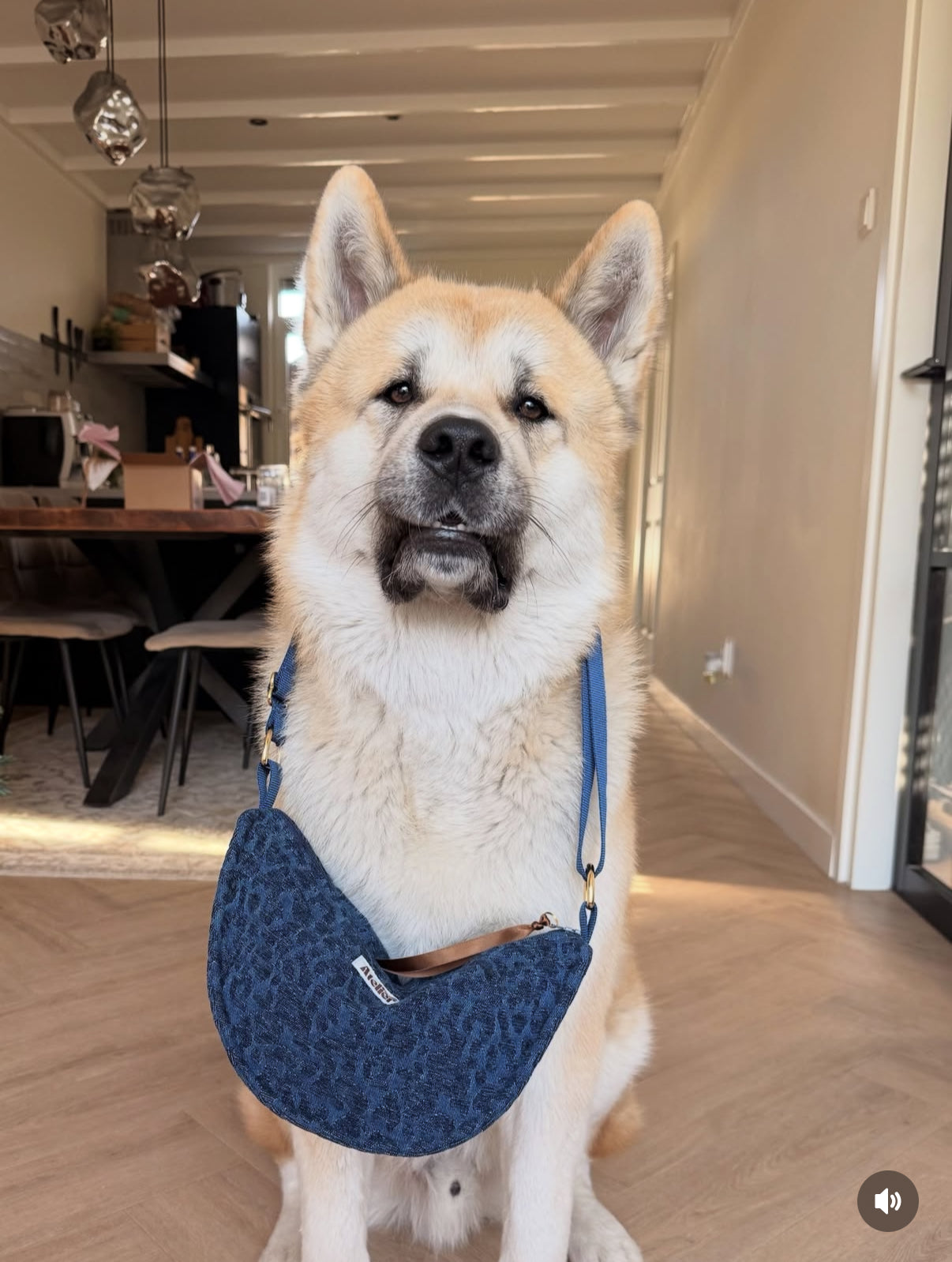 MOON BAG - PANTHERA BLUE