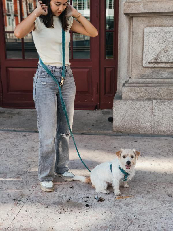 ABISKO OLD GREEN LEASH