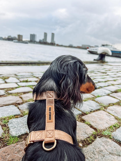 LEATHER LOOK ROSE GOLD HARNESS