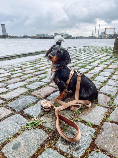 LEATHER LOOK ROSE GOLD HARNESS