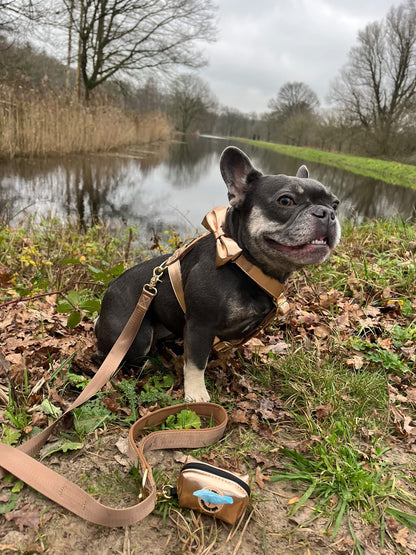 LEATHER LOOK ROSE GOLD HARNESS