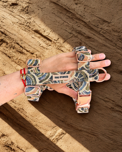 SCALES HARNESS