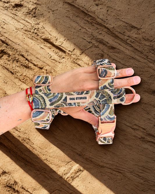 SCALES HARNESS