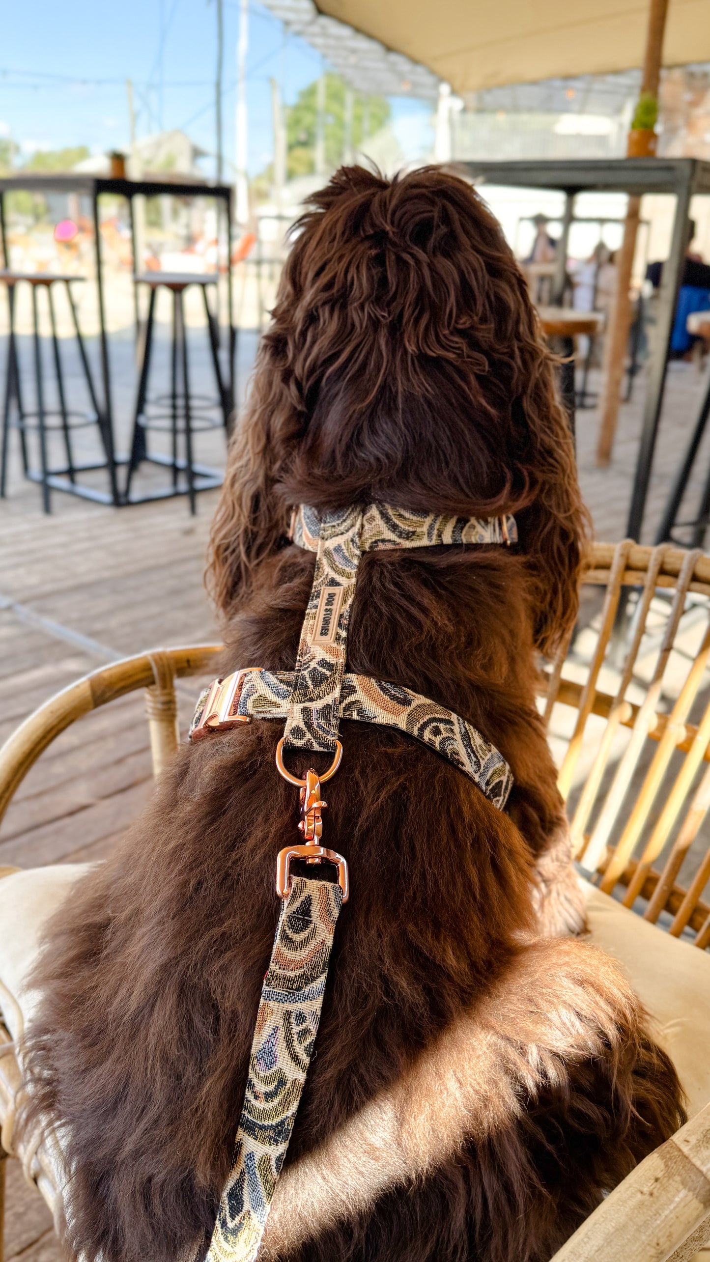 SCALES HARNESS