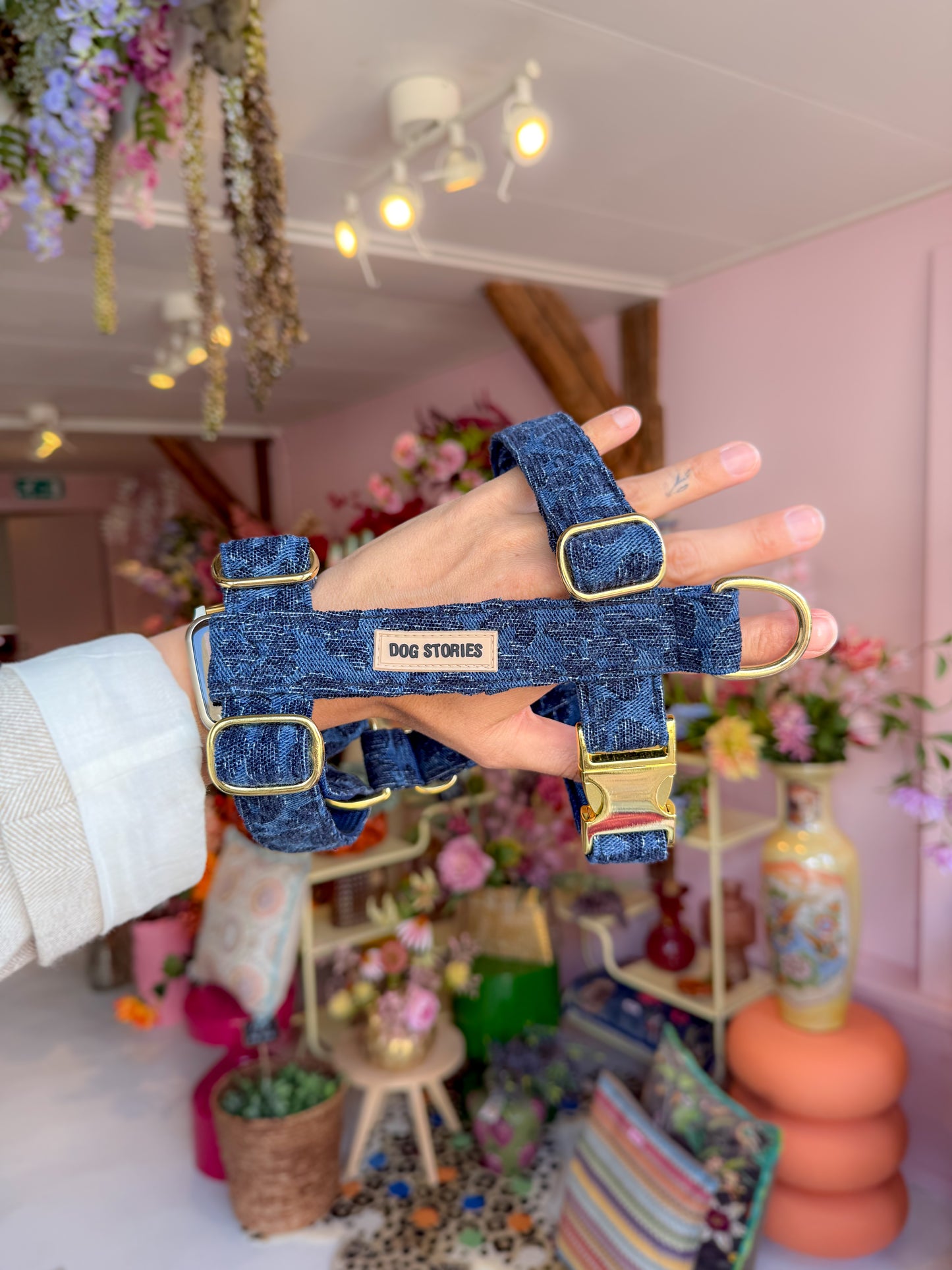 PANTHERA BLUE HARNESS