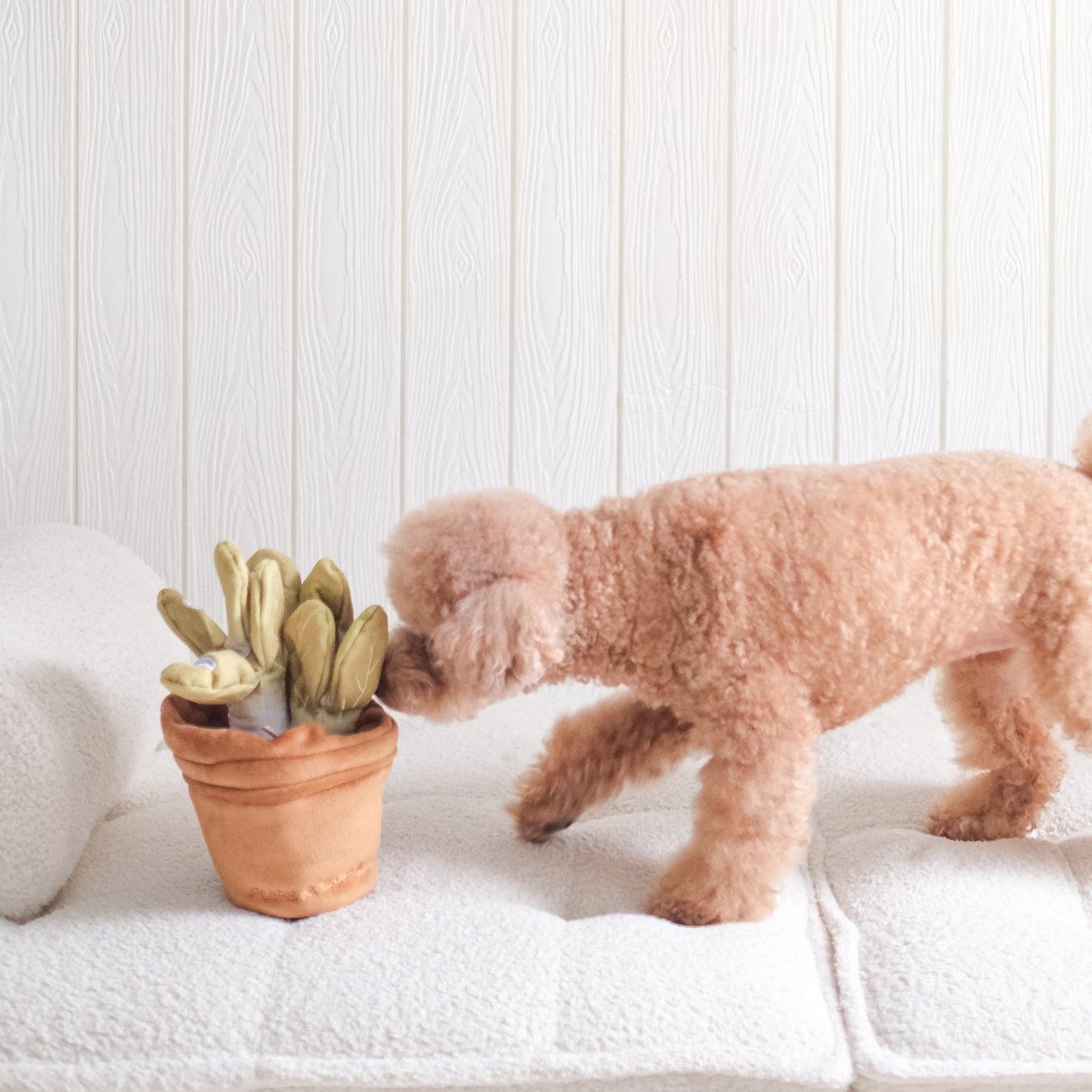 VEGGIE GARDEN NOSEWORK TOY