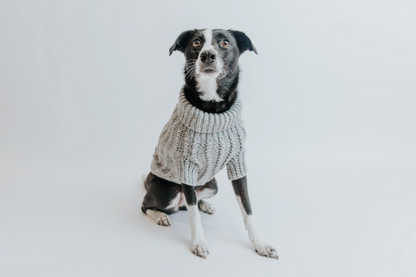 DOG CABLE KNIT SWEATER - GREY (XXL)