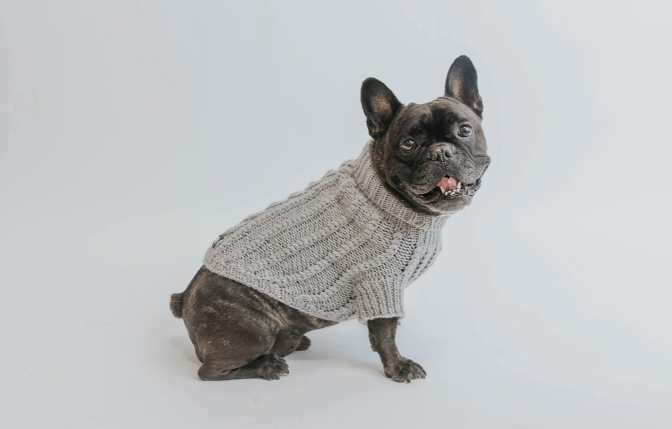 DOG CABLE KNIT SWEATER - GREY (XXL)