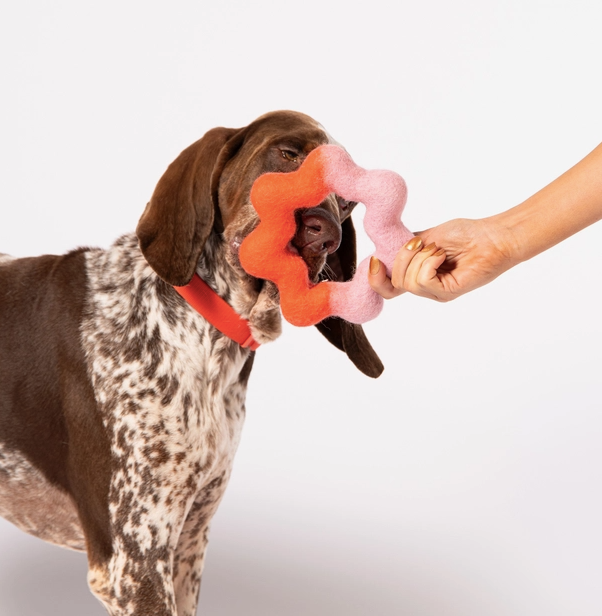 FELT TOY - WIGGLE RING