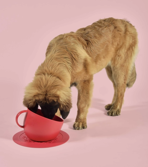 BOWL CUP AND SAUCER - RED