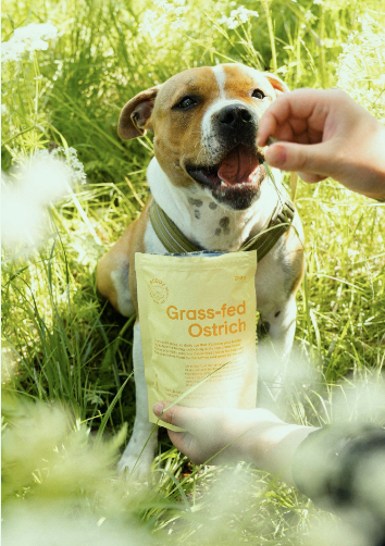 BUDDY SEMI-MOIST SNACK - OSTRICH & BLACKBERRIES