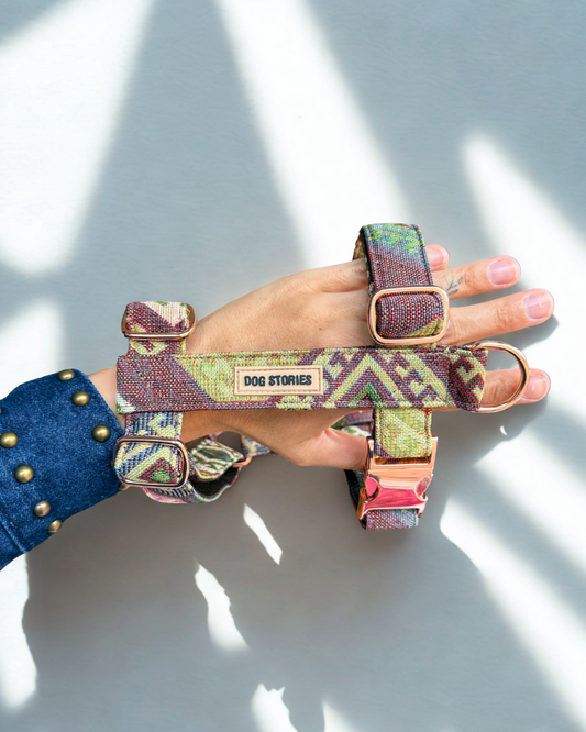 VICCI HARNESS